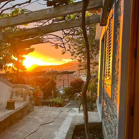 Casa Flores Garden *