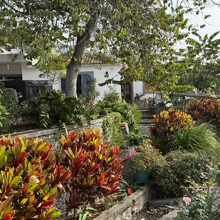 Casa Flores Garden Maison d'hôtes *