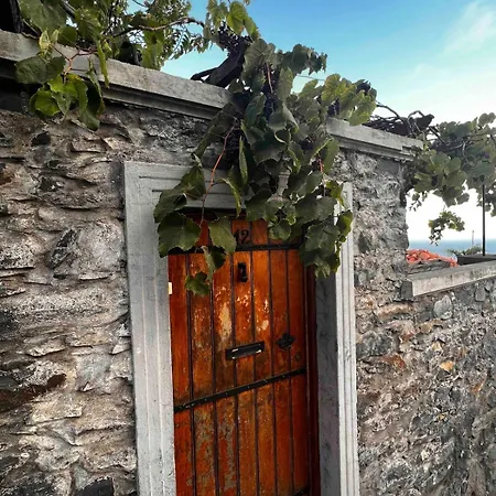 Maison d'hôtes Casa Flores Garden *