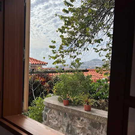 Casa Flores Garden *