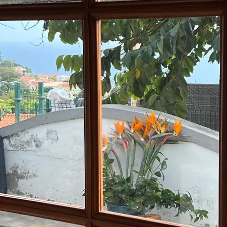 Casa Flores Garden Maison d'hôtes